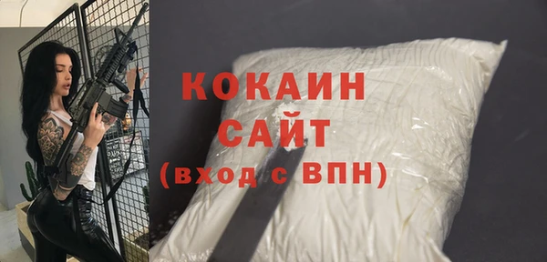 гашик Белокуриха
