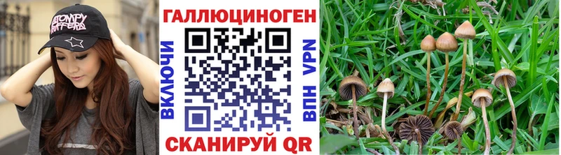 Псилоцибиновые грибы мухоморы кракен как войти Вязьма
