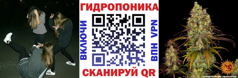 где купить наркотик  Вязьма  Конопля Ganja 